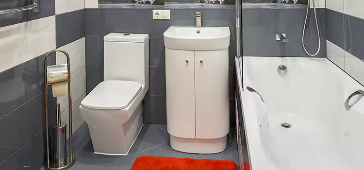 Hansgrohe Shaving Mirror Klamath Falls